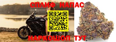 каннабис Кингисепп