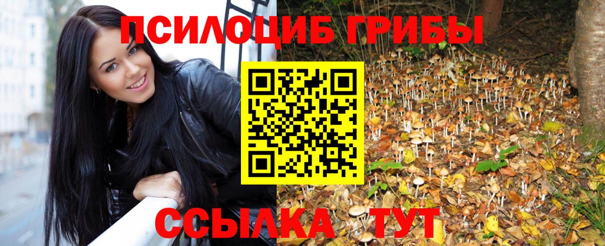 Галлюциногенные грибы прущие грибы Кудымкар
