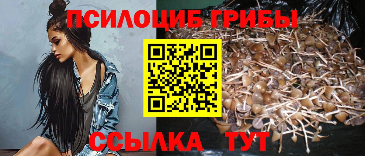 Галлюциногенные грибы Psilocybine cubensis  Вход с VPN  Галлюциногенные грибы прущие грибы  Кудымкар 